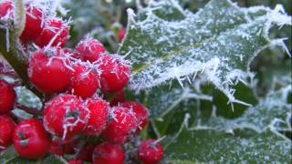 The Holly And The Ivy Bright The Holly Berries  Christmas With Maureen McGovern [upl. by Htidra]