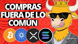 ✅POR FIN ESTÁ PASANDO😱Noticias Criptomonedas HOYBitcoin Ethereum Cardano Solana Polygon XRP SHIB [upl. by Leifer]