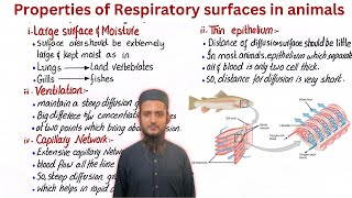 Properties of respiratory surfaces in animals  biology [upl. by Mercer]