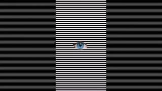 Monochrome Hypnosis A Mesmerizing Black and White Illusion illustration trippy shortss [upl. by Eadas931]