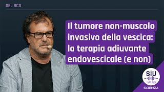 SIUtalkScienza  La terapia adiuvante endovescicale e non  Rodolfo Hurle [upl. by Zildjian958]