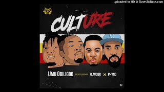 Umu Obiligbo Ft Phyno amp Flavour  Culture Official Audio [upl. by Ellenaj]