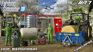 Buying STRAW BLOWER and MILKING COWS in PASTURE  Hof Bergmann  Farming Simulator 22  Episode 77 [upl. by Pepin]