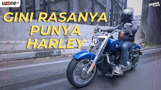 HARLEY DAVIDSON FAT BOY 114 NAIK MOTOR SEHARGA MOBIL MEWAH [upl. by Parshall]