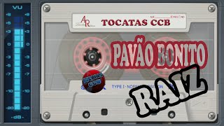 TOCATAS CCB CD PAVÃO BONITO RAIZ [upl. by Shwalb171]