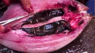 How to debone Bangus Milkfish [upl. by Faber473]