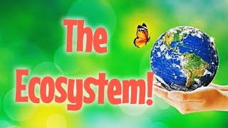 Exploring the Wonders of Ecosystems An Introduction Biotic and Abiotic Factors [upl. by Lander316]