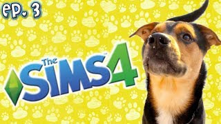 Making My Dog Dexter  The Sims 4 Raising YouTubers as PETS  Ep 3 Cats amp Dogs Expansion [upl. by Aleiram]