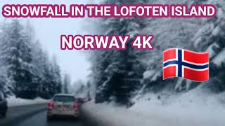 Snowfall in the Lofoten Islands  Norway 4K  MA WORLD TRAVEL VLOG [upl. by Anidem694]