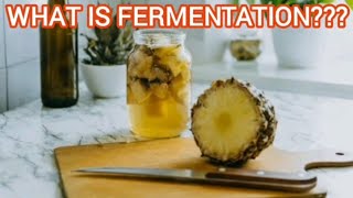 What does Fermentation mean [upl. by Odnuges354]