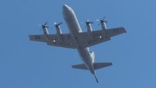 More Lockheed Martin P3 Orion Flyovers [upl. by Jentoft57]