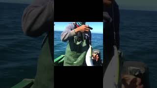 fishingvideo [upl. by Uamak]