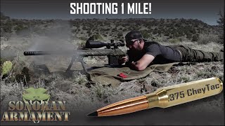 Is this the best long range rifle 1 Mile Shot [upl. by Htederem]