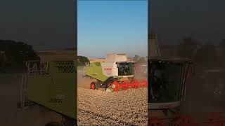 Tractor Filmpje Voor Kinderen [upl. by Drus]