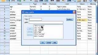 Spearman Correlation  SPSS part 1 [upl. by Drew]