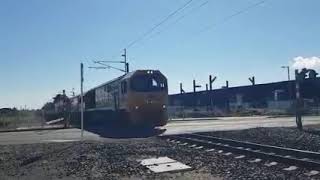 Kahikatea drive level crossing [upl. by John]