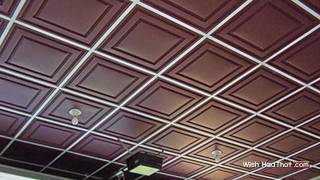 Thermoform Vinyl Ceiling Tiles  WishiHadThatcom [upl. by Gleeson]