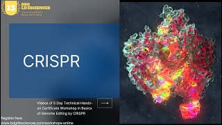Basics of Genome Editing by CRISPR  Session 1 by bdglifesciences [upl. by Lisa]
