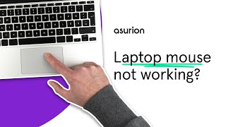 Laptop mouse not working Here’s how to fix it  Asurion [upl. by Alley]