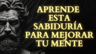 Domina el Arte de la Disciplina Estoica Cómo lograrlo sin motivación Guía Completa  Estoicismo [upl. by Orson]