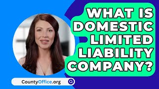 What Is Domestic Limited Liability Company  CountyOfficeorg [upl. by Bell]