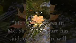 Today’s Bible Verse bible faith religion [upl. by Tupler360]