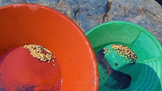 Unbelievable Gold Discovery Mining Nearly Half an Ounce by Hand in a Single Day in California [upl. by Rubbico]