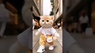 eharmony cat loverviralvideo viralshort [upl. by Akyre]