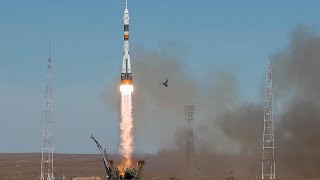 Notlandung der Sojus nach missglücktem Raketenstart  2 Mann an Bord wohlauf [upl. by Agnizn]