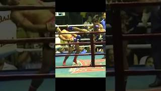 MATRIX FIGHTER  Lerdsila Chumpairtour มวยไทย muaythai martialarts [upl. by Eimam605]