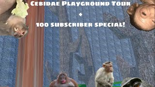 Cebidae Playground Tour  100 Subscriber Special All in one video [upl. by Aikahc]