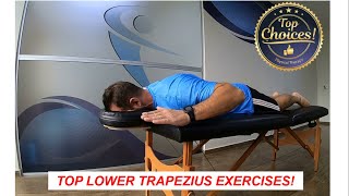 Top Exercises for Lower Trapezius [upl. by Wachtel533]