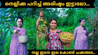 നെല്ലിക്ക പറിച്ച് അരിഷ്ടം ഇട്ടാലോനല്ല ഇടന ഇല കൊണ്ട് ചക്കഅടമലയാളം saranyas beauty vlogs [upl. by Chappy]