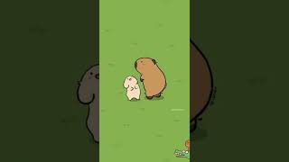 Chill Capybarass Happy and Relaxable Life funny capybara animals [upl. by Solracesoj]