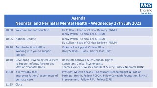 Webinar 33 Perinatal Mental Health PNMH Services Neonatal and PNMH [upl. by Naleek]