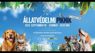 Állatvédelmi Piknik 2024  Farkasházi Réka és a Tintanyúl 4 Rész [upl. by Ajit]