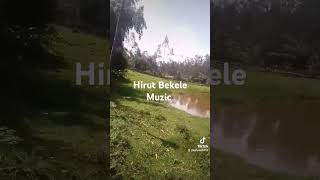 Hirut Bekele old music Hurbat media [upl. by Tremann]