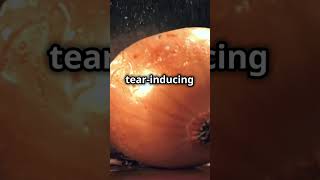 Discover Tasty Recipes and Fun Food Hacks  quotHow to Cut an Onion Without Cryingquot [upl. by Terza539]