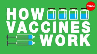 How do vaccines work  Kelwalin Dhanasarnsombut [upl. by Aicinod]