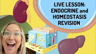 Endocrine and Homeostasis revision Miss Angler is going live [upl. by Anatolio]