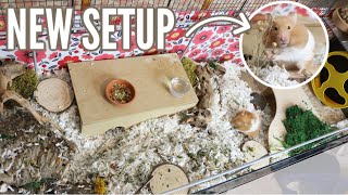 New Hamster Cage Setup Timelapse [upl. by Awahsoj75]