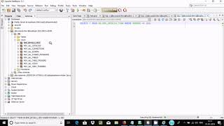 How to Connect Oracle with netbeans [upl. by Demodena378]