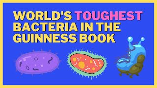 Worlds Toughest Bacteria in The Guinness Book Of World Records  ScienceRoot [upl. by Selima748]