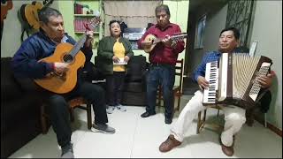 AMIGOS SANDINOS TOCANDO MUSICA HUARUCHIRANA [upl. by Ameekahs]