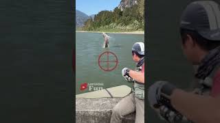 Slingshot Fishing The Most Insane Way to Catch a Fish [upl. by Lenaj]