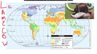 Factors That Affect Climate [upl. by Bertsche]