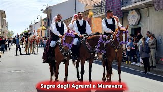 Sagra degli Agrumi a Muravera  23 Aprile 2023  Sardegna [upl. by Tien375]