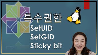 리눅스 기초  파일속성변경3 SetUID SetGID Sticky bit [upl. by Jeni]