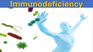 Understanding Immunodeficiency Causes Types and Treatments  Immune System [upl. by Icyaj]