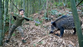 wild boar tracks dig holes and make traps to catch them survival alone [upl. by Kiehl]